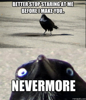 Insanity Crow Meme