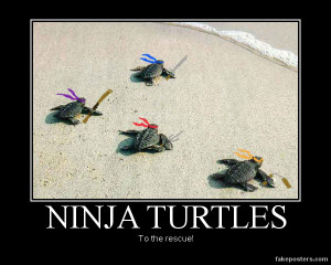 Ninja Turtles - Demotivational Poster