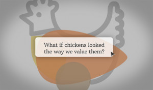 Chicken Wings Images and Sayings