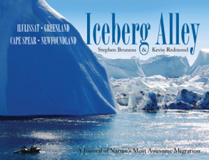 Iceberg Alley: A Journal of Nature's Most Awesome MigrationBy Stephen ...