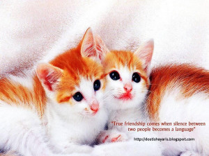 beautiful friendship quotes by great minds must see for all click here ...