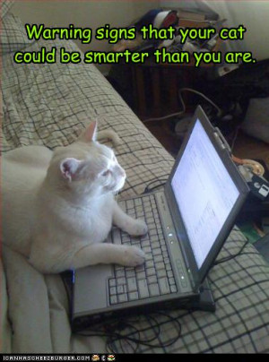 Lol Cats Smart