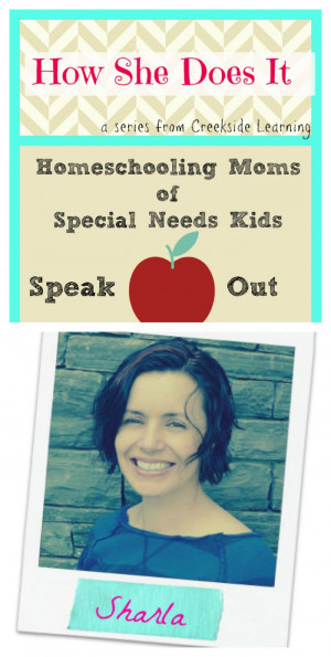How She Does It: Homeschooling Moms of Special Needs Kids Speak Out ...