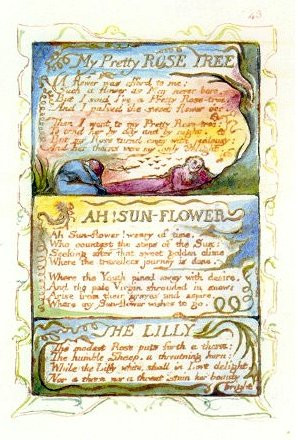 ah sunflower by william blake ah sunflower audio poem by william blake ...