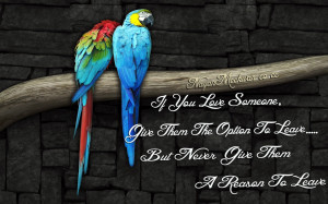 Beautiful Love Parrots Love Quote By: Nayan Meckwan
