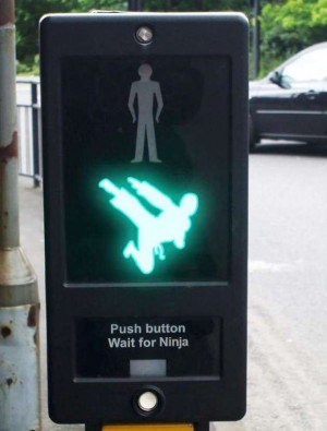 Push-Button-for-Ninja-funny-pictures-W630.jpg