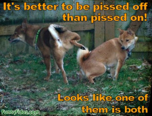 BLOG - Funny Pissed Off Pics