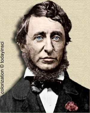 Importance Of Nature Quotes Thoreau