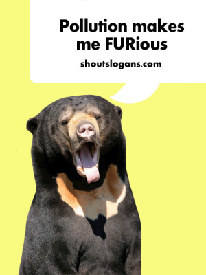 Funny Slogans About Air Pollution