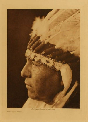 White Elk ~ a chief of the Oto Nation