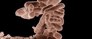 Displaying 16> Images For - Diarrhea Of The Mouth Quotes...