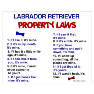 Labrador Retriever Property Laws 3 Pri Poster