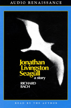 Related Pictures seagull by richard bach was the inspiration of justin ...