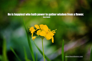 Inspirational Quotes About Flowers