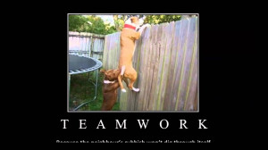 Back > Quotes For > Teamwork Quotes With Images