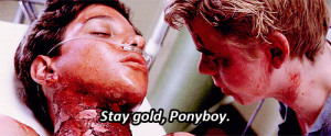 the outsiders # stay gold # stay gold ponyboy # ponyboy # s e hinton ...