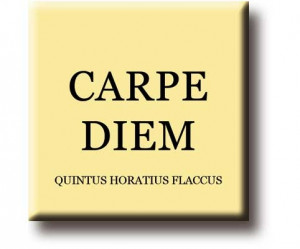 quote magnets quote fridge magnets with a latin phrase these ...