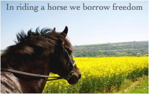 in riding a horse we borrow freedom horse quotes horses