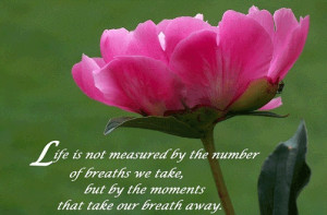 How strange that nature does not knock, and yet does not intrude ...