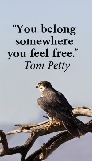 You belong somewhere you feel free.” Tom Petty – On image of ...