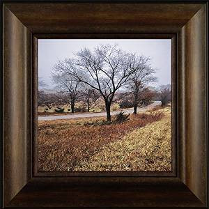 tools home improvement painting supplies wall treatments wall stickers ...