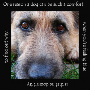 Here comes some great quotes and sayings without pictures: