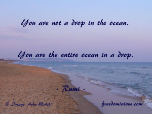 Funny Ocean Quotes You are the entire ocean in a