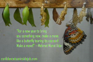 Butterfly_and_Chrysalises