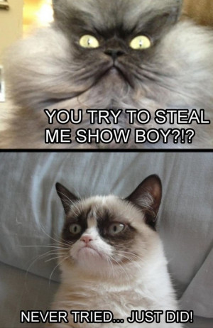 Grumpy Cat never tried