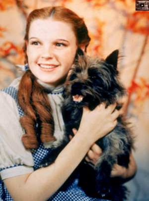 Dorothy and toto