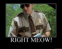 Super Troopers Quotes on Pinterest
