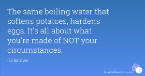 The Boiling Water the Same That the Potato Egg Softens Hardens