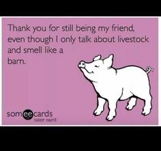 livestock life 4 h show pigs stock show quotes pigs showing livestock ...