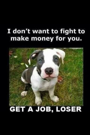 love pit bulls they just have a bad rep
