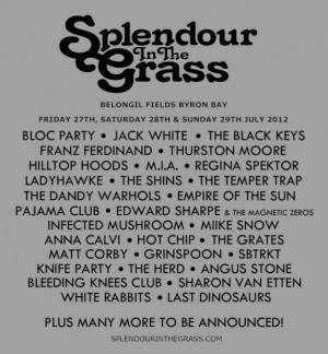 Splendour In The Grass 2013 Volunteer