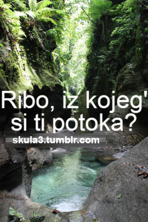 croatian quote