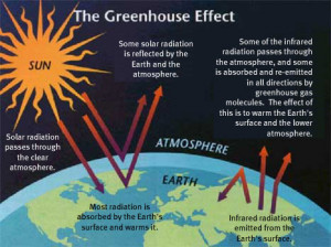 greenhouse effect diagram