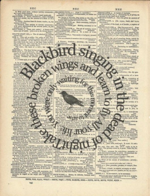 Blackbird