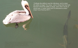 Pelican Surveys a Large Fish, Copyright (c) 2007 Carol Chapman
