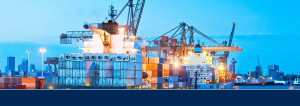 Import and Export Cargo Movement Cover