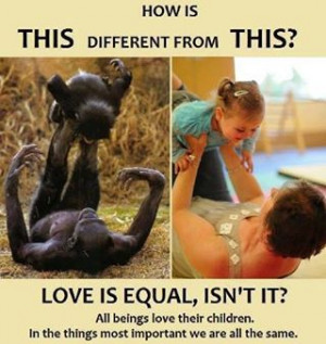 Looks about the same, animals need to be treated equally.