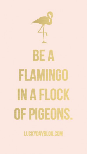 ... Quote, Life, Phone Wallpapers, Inspiration, Quotes, Things, Flamingos