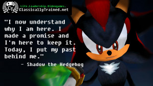 quote shadow the hedgehog video game lesson life leadership promise