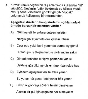 Türk Dili ve Edebiyatı Lisans 2013 sorusu