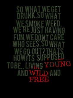so what we get drunk.so what we smoke weed, we\'re just having fun,we ...