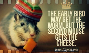The early bird may get the worm, but the second mouse gets the cheese.
