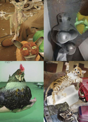 Ryan Trecartin Pictures