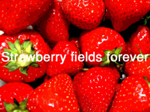 ... forever, lyrics, music, quote, strawberry, strawberry fields forever