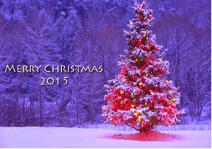 Merry Christmas Quotes - Best Merry Wishes Christmas 2015 Quotes