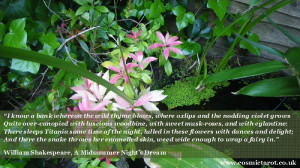 way an enchanting quote from shakespeare s midsummer night s dream ...